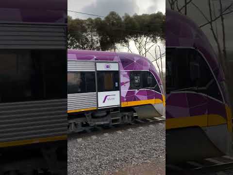 Alstom V/Line Horn Show