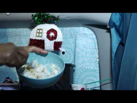 - Living in my Van- Chicken in a van