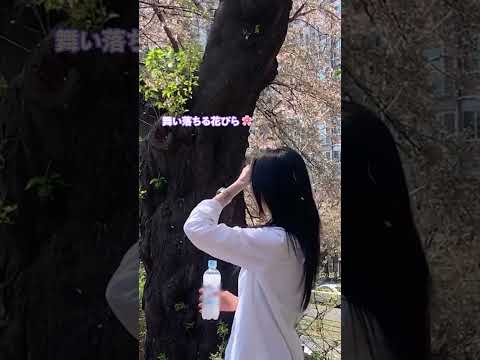 今年の桜の思い出を、ショートで残してみよう #お花見vlog 🌸