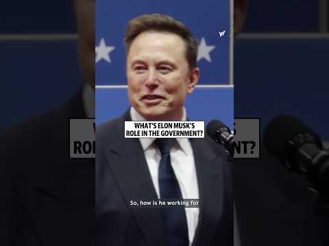 What's Elon Musk's role in the government?
