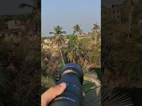 Optical zoom test #sony #zoomtest #telephoto #nature #lens #photography #s25ultra #100x #mirrorless