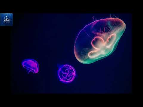 Beautiful Relaxing Music for Stress Relief ~calm relaxation ~ Meditation, Relaxation, Sleep, Spa💤💤💤💤