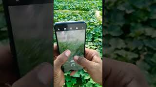 realme 9i the best camera 📷 #viralvideo #shorts