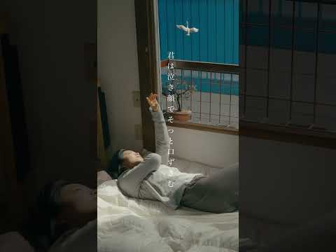 【#shorts 】Karin.「嘘が甘いから」
