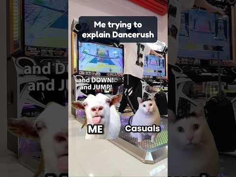 Trying to explain Dancerush to casuals be like:  #meme #cluelesscat #goat #arcade