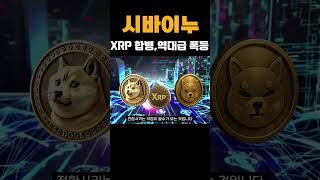 시바이누 XRP 합병, 역대급 대폭등 옵니다!!! #시바이누 #비트코인 #리플 #테더 #이더리움 #솔라나 #도지코인 #파이코인