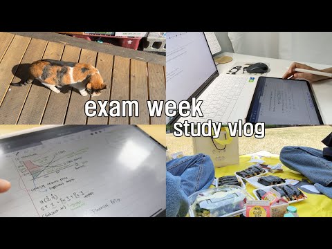 sub) 직장인 대학원생 중간고사 exam week vlog (간만에 겪는 시험기간)