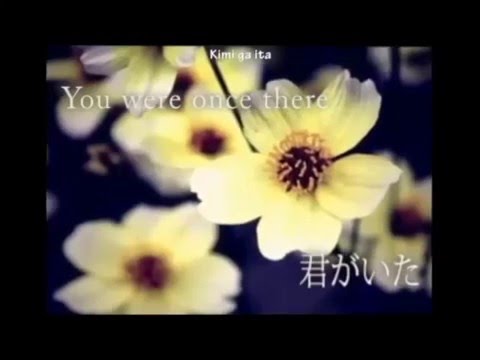 「 UTA nessen Entry 」Liar 【Shin'Iyak peaceful】