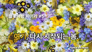 아침에듣기좋은노래 | 솔바람뮤직 5호 "들꽃처럼 피어라" 여기, 다시 피어나는 삶!