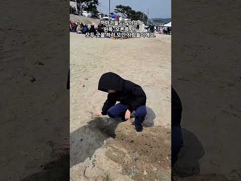 세계에서 유일한 수중릉! 문무대왕릉! #경주여행