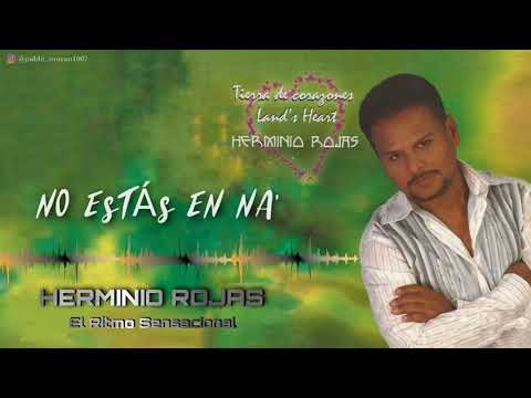 No estas en na' (audio oficial) - Herminio Rojas