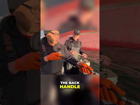 Choose the right rod for SQUID JIGGING