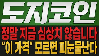 [도지코인 코인전망] 정말 지금 심상치 않습니다!! "이 가격" 모르면 피눈물난다!!