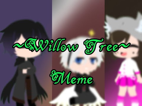 ~ _ Willow Tree _~ [Meme]
