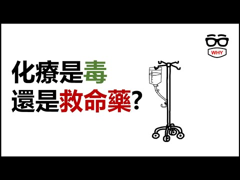 化療是毒還是救命藥？真相一次講清楚！