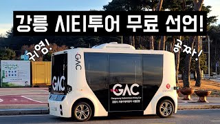 강릉을 여행하는 가장 완벽한 방법~ 무료 시티투어!