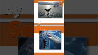 Luxury Guides Divine Africa Tours and Travel