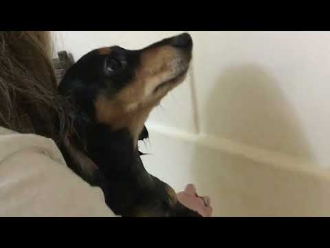 Zeus bath time