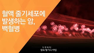 혈액 줄기세포에 발생하는 암, 백혈병 - (20120602_415회 방송)_또 하나의 장기, 혈액