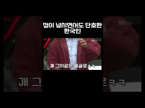 정이 넘치면서도 단호한 한국인 #shorts #공감 #추천