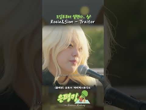 편집자 최애💗곡🎶 도입부부터 설레는 Rosie&Sion의 'Traitor'  #shortsvideo  #공연영상 #버스킹 #공연 #하이잭스튜디오 #hijackstudio