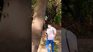 ［香港好去處］3月4月去邊好？賞花好去處