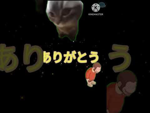 50人いったーー！ありがとう！