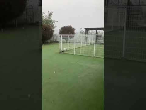 4月29日の雨やばかったね