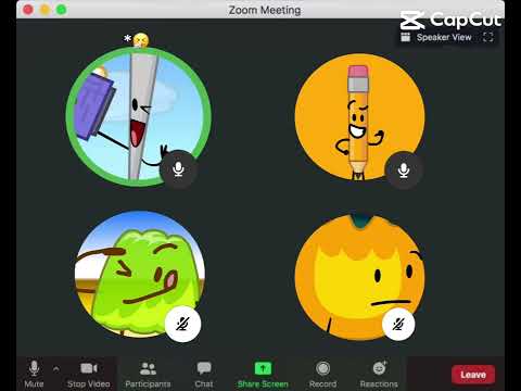 Bfdi video call EPIC FIGHT EMOTIONAL NOT CLICKBAIT