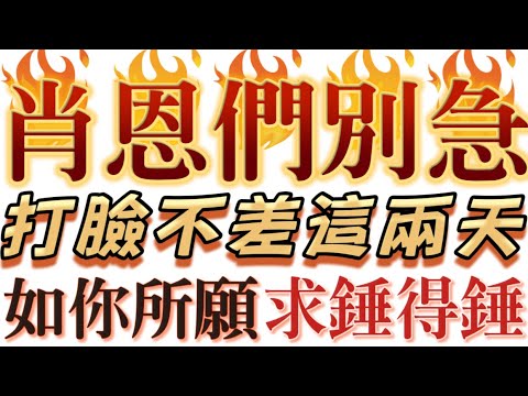 肖恩Sean們別急｜打臉不差這兩天｜如你所願求錘得錘