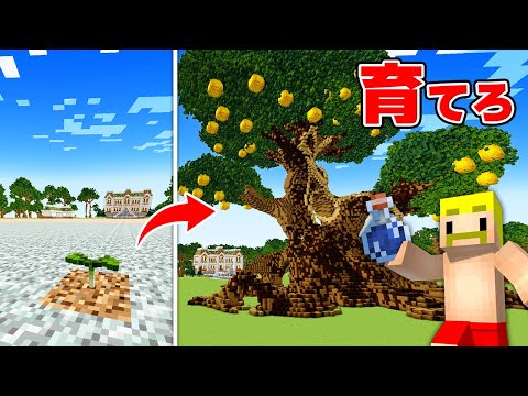 You can't finish until you grow a tree that bears gigantic golden apples! [Minecraft]