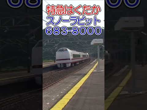 特急はくたか スノラビ編成 能生駅通過  #はくたか  #特急 #shorts  #鉄道 #スノーラビットエクスプレス