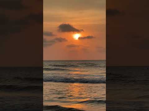 Calm Vibes ✨ Ocean Sunset 🌊 Relaxing Beats