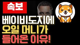 🚨베이비도지🚨중동 국부펀드가🔥베이비도지에 들어오다! #베이비도지코인 #베이비도지 #베이비도지코인전망