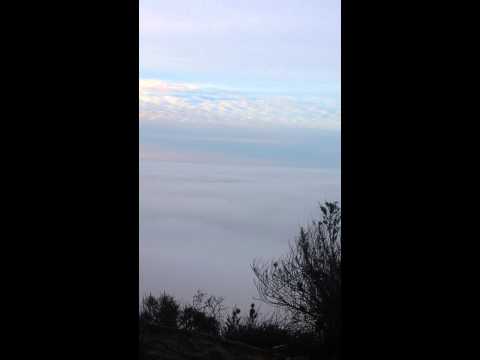 Big sur morning!