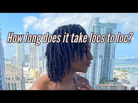 How long does it take for locs to lock? | How long will my hair take to loc? 🌱