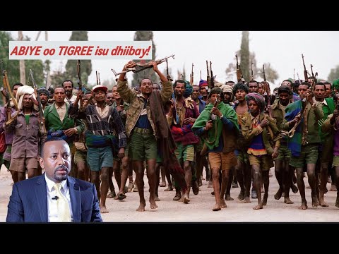 Abiye Axmed oo cod la yaab leh u diray Tigree!+ wax ka ogow Diyaaradaha T129 ee Somaliya heleyso.
