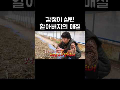 할 일 못하면 문도 안열어주지 #골라듄다큐 #shorts