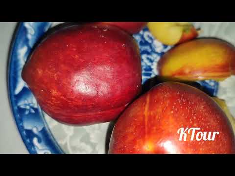 "নেকটারিন কী? পুষ্টিগুণ, স্বাদ ও স্বাস্থ্য উপকারিতা"What Is a Nectarine? @KTour997