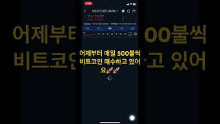 20250104. 자산현황. 비트코인골드????? #비트코인 #비트코인골드 #btc #btg #도지코인