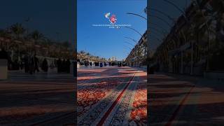 Heaven means Karbala ♥️😭 #الکفیل #یا_زهرا #یا_عباس #یا_زینب #یا_حسین #حسینیات #رسول_الله #الحسین_نھج