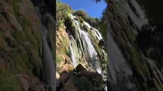 Water falls #truthoflife #song