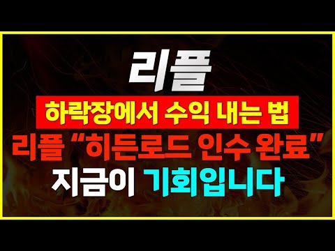 리플, 지금 하락장이 기회인 이유?