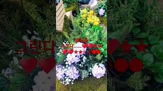 #빈 하늘에 불꽃을~~~😍🥰🥰🥰🥰🥰