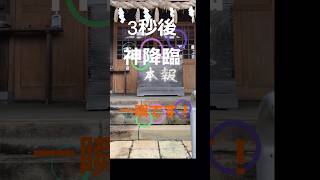 3秒後 　神降臨 龍神降臨　#神社 #開運 #神様 #shorts #スピリチュアル