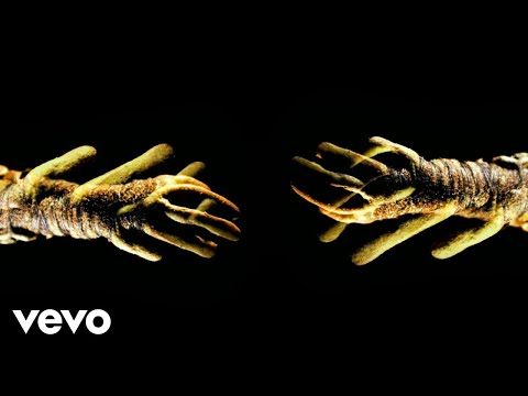 Current Joys - talk to me (Official Video)