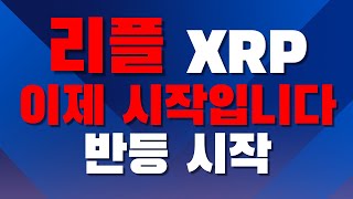 리플 이제 시작입니다 반등시작!! #리플#XRP#보라#급등코인#SEC