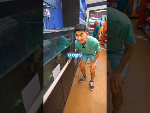 Where Does Your Poop Go After You Flush? #shorts