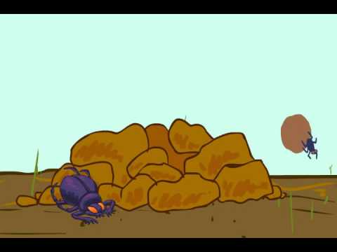 Dumb beetles