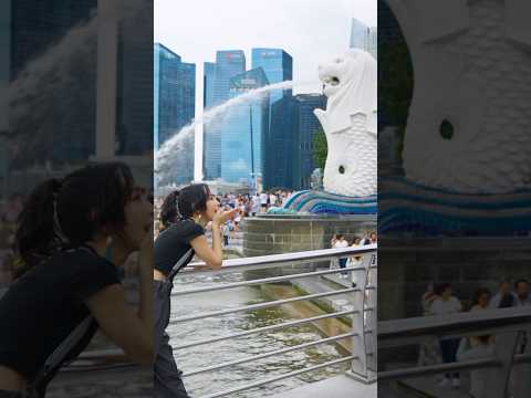 #VisitSingapore #PassionMadeSingapore #MadeInSingapore #予想外の体験シンガポール#シンガポール #シンガポール旅行 #海外旅行